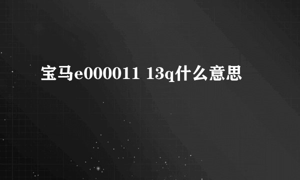 宝马e000011 13q什么意思