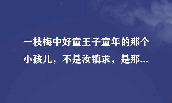 一枝梅中好童王子童年的那个小孩儿，不是汝镇求，是那个更小一点的男孩儿叫啥啊