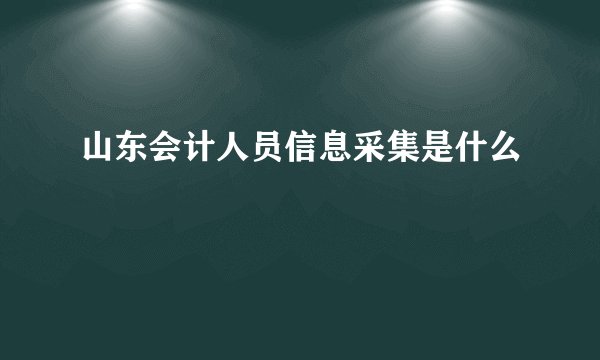 山东会计人员信息采集是什么