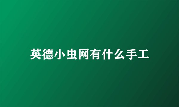 英德小虫网有什么手工
