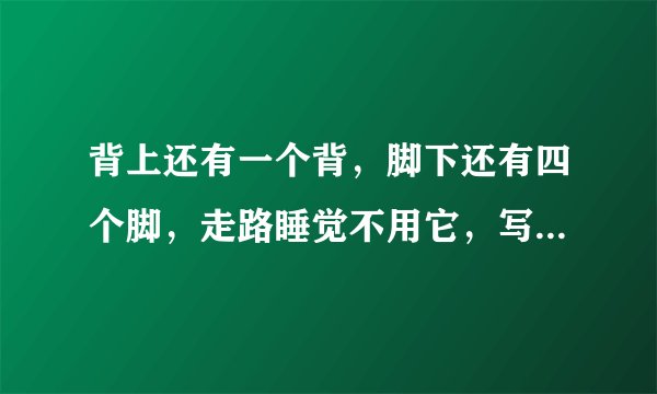 背上还有一个背，脚下还有四个脚，走路睡觉不用它，写字画画要它帮，猜十二生肖