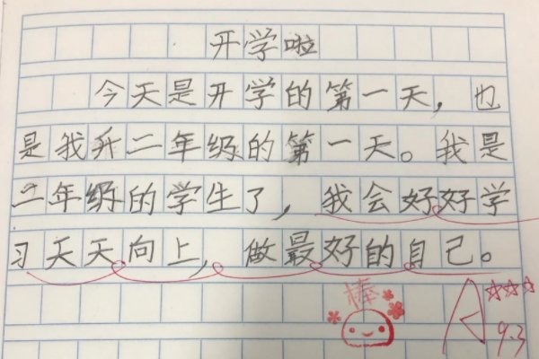 日记的正确格式图片