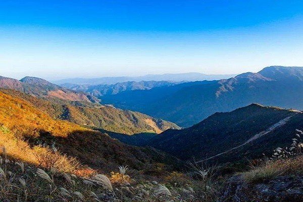 赞美的诗歌唱不完原唱