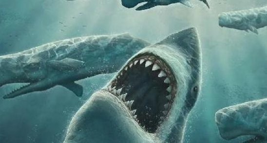 巨齿鲨有天敌吗
