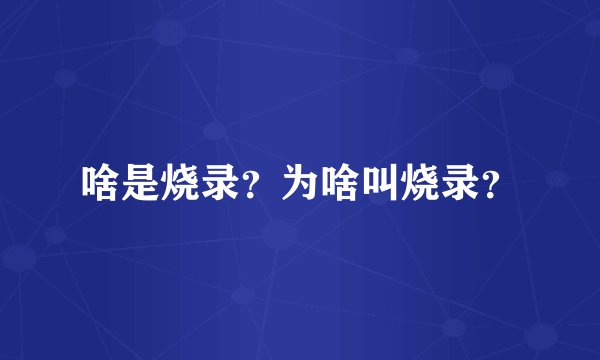 啥是烧录？为啥叫烧录？