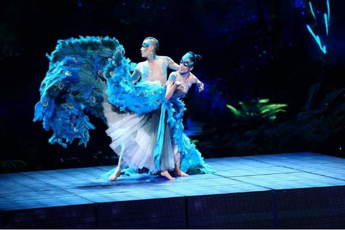 王迪和杨丽萍是什么关系