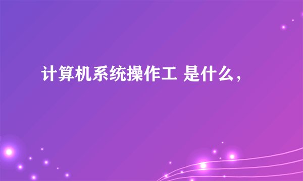 计算机系统操作工 是什么，