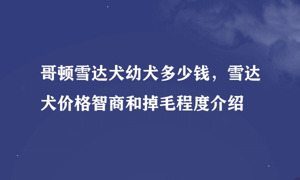 哥顿雪达犬幼犬多少钱，雪达犬价格智商和掉毛程度介绍