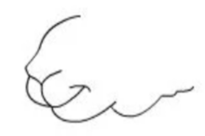 小羊怎么画简单又漂亮又可爱