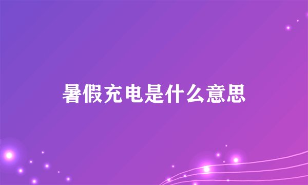 暑假充电是什么意思