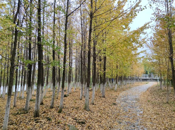 芜湖职业技术学院怎么样？