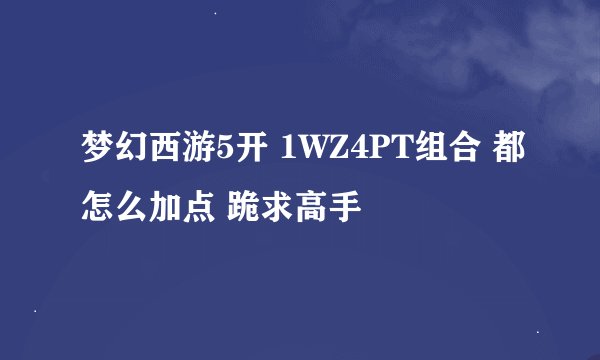 梦幻西游5开 1WZ4PT组合 都怎么加点 跪求高手