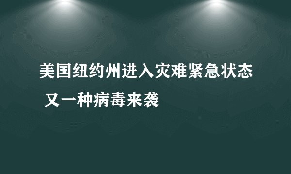 美国纽约州进入灾难紧急状态 又一种病毒来袭