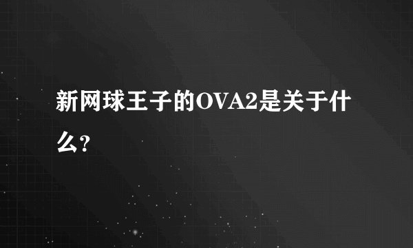 新网球王子的OVA2是关于什么？