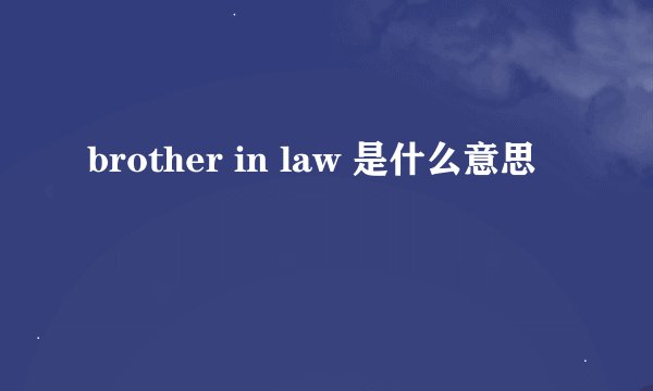 brother in law 是什么意思