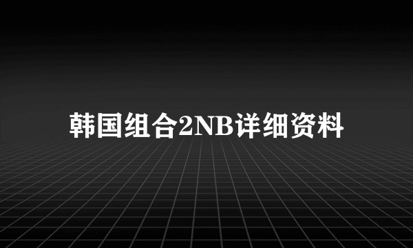 韩国组合2NB详细资料