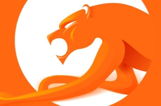 抢票软件哪个好用