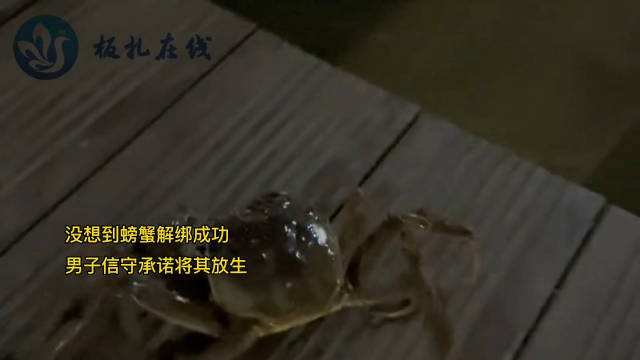 男子吃螃蟹意外发现它自己解绳,打赌解开就放生,最终的结果如何?