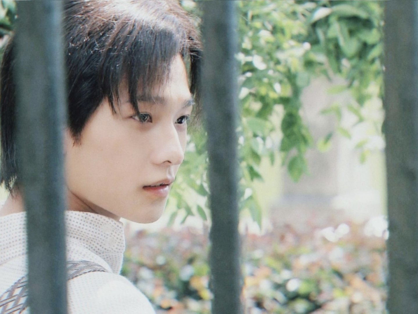 杨洋演过什么角色