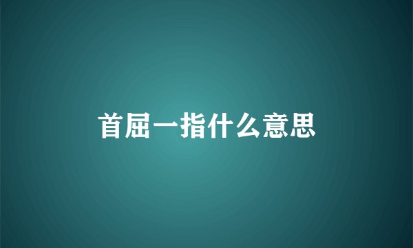 首屈一指什么意思