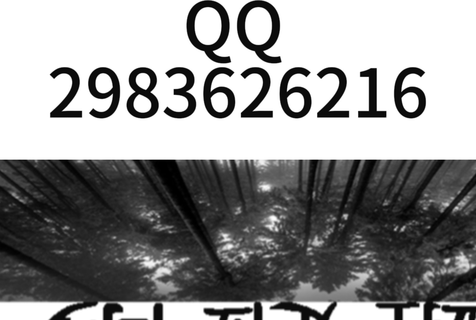 什么东西能看到别人手机上的短信