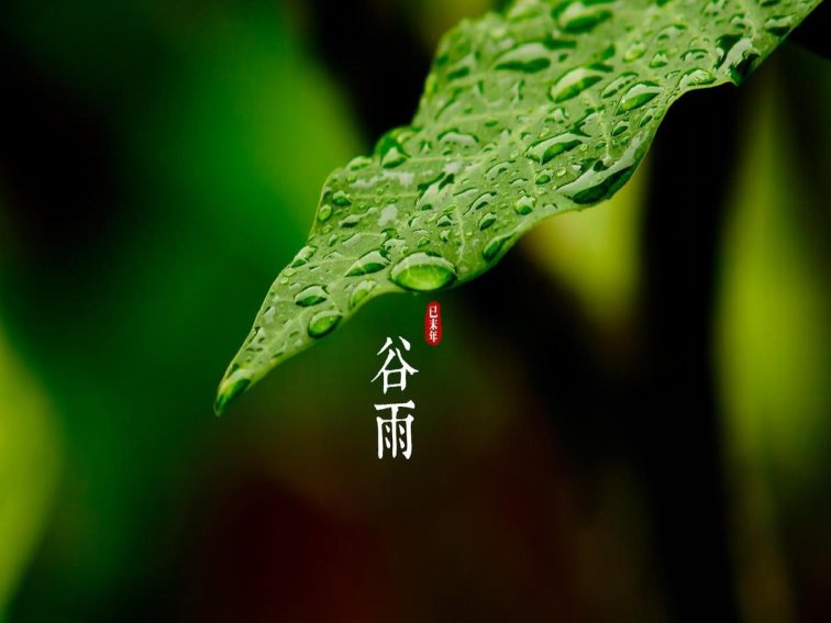 描写谷雨的四句古诗有哪些?