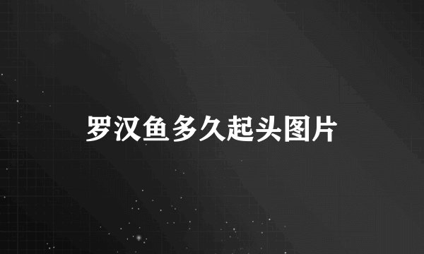 罗汉鱼多久起头图片