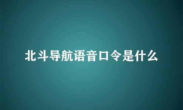 北斗导航语音口令是什么
