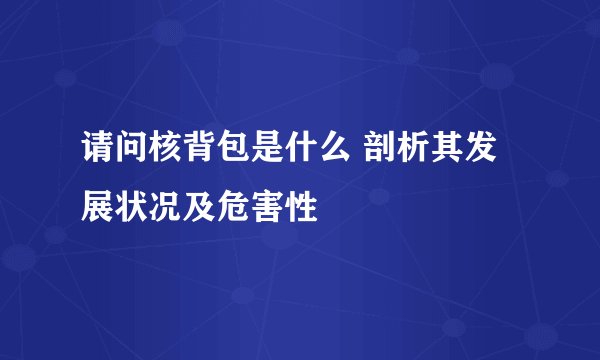 请问核背包是什么 剖析其发展状况及危害性