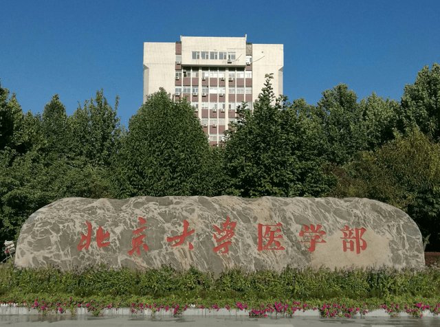 北大教授洪森炼被举报猥亵学生,学校如何处理此事才是公允?