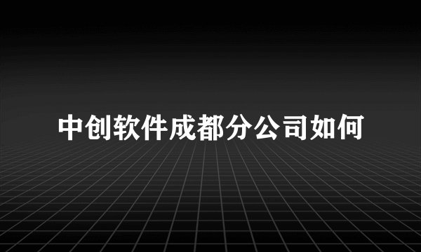 中创软件成都分公司如何