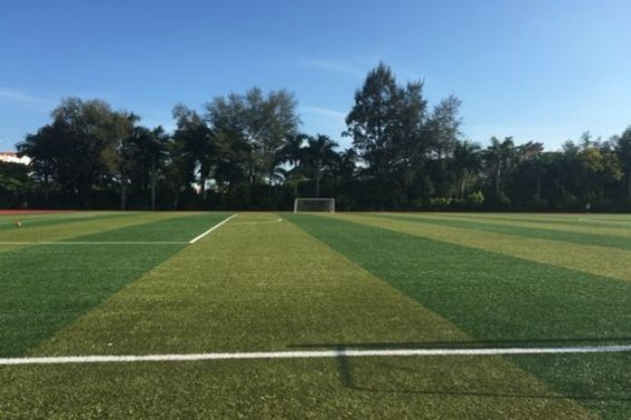 山东分数最低的本科大学