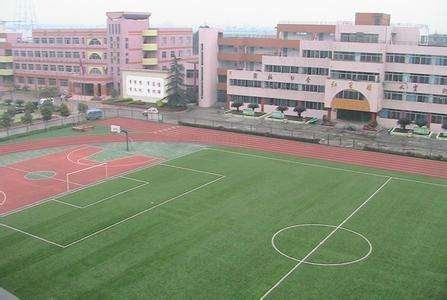 成都43中是什么学校？