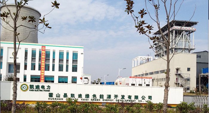 武汉凯迪电力股份有限公司的介绍