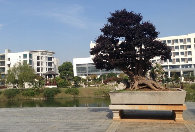 苏州旅游与财经高等职业技术学校有哪些专业