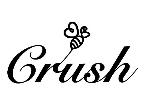crush什么意思梗