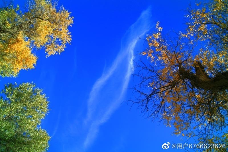 今年春节是几号