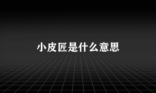 小皮匠是什么意思
