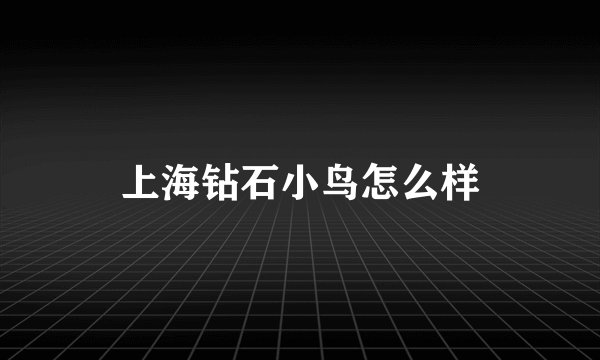 上海钻石小鸟怎么样