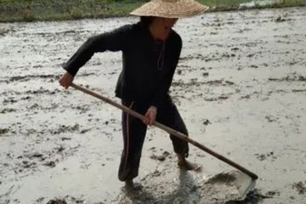 用辛苦造句不能超过十个字