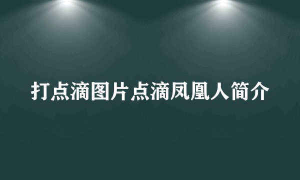 打点滴图片点滴凤凰人简介