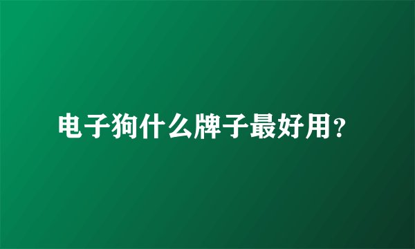 电子狗什么牌子最好用？