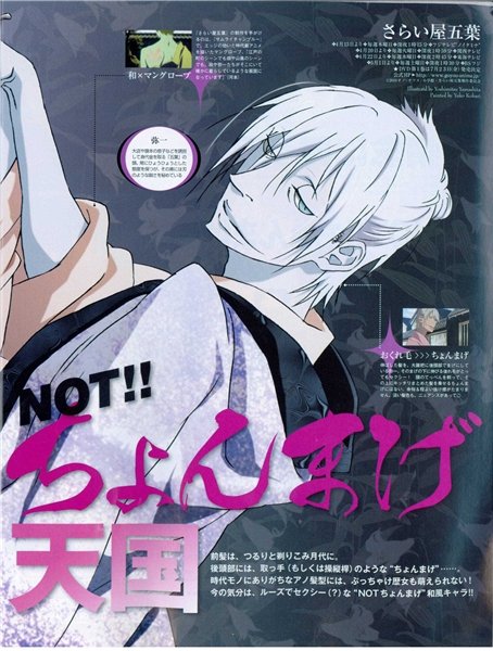 江户盗贼团五叶的故事简介