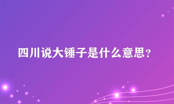 四川说大锤子是什么意思？