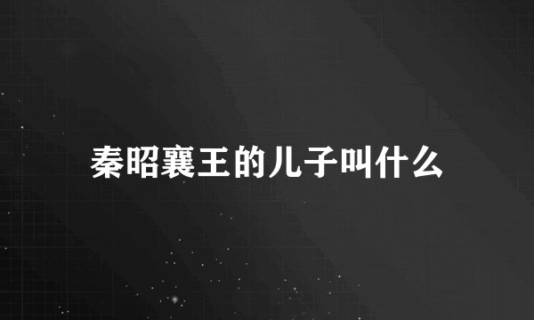 秦昭襄王的儿子叫什么