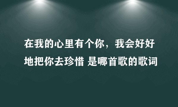 在我的心里有个你，我会好好地把你去珍惜 是哪首歌的歌词