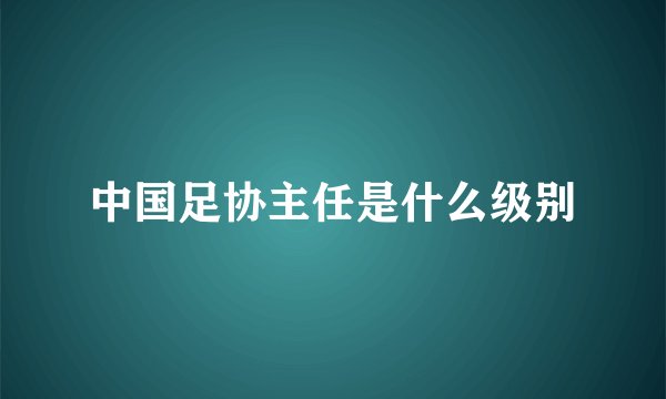 中国足协主任是什么级别
