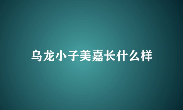 乌龙小子美嘉长什么样
