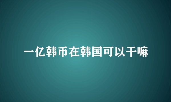 一亿韩币在韩国可以干嘛
