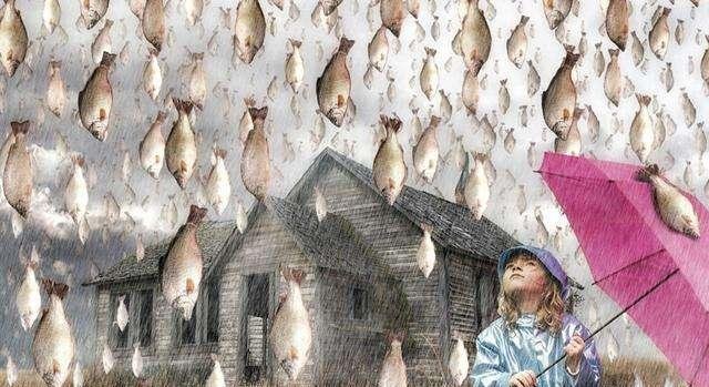 世界各地下过哪些“动物雨”，这些动物雨是如何形成的？